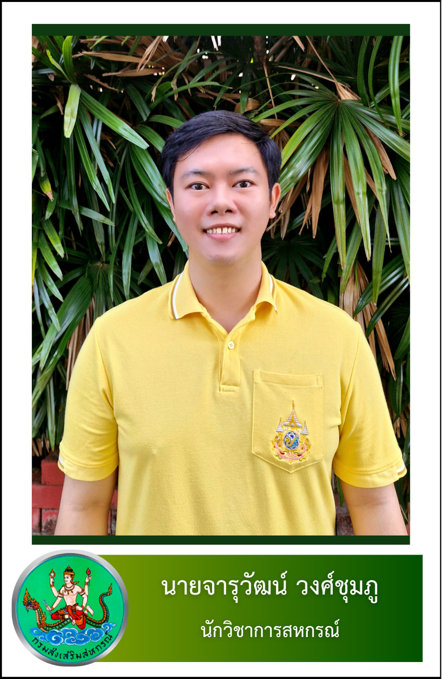 นายจารุวัฒน์ วงศ์ชุมภู