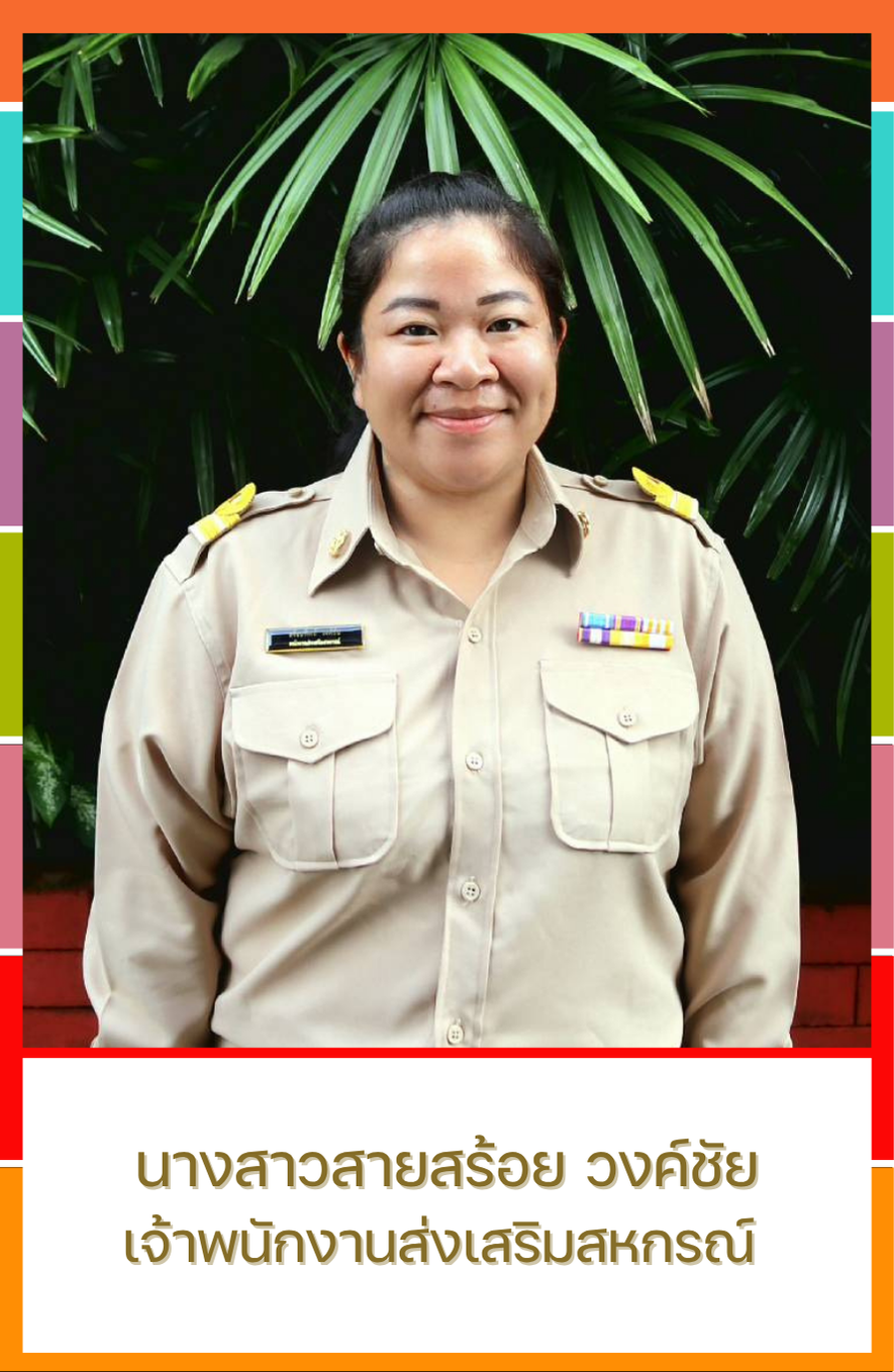 นางสาวสายสร้อย วงค์ชัย