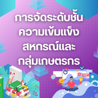 การจัดชั้นความเข้มแข็ง