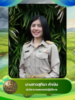 นางสาวสุทินา คำเงิน