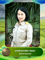 นางสาววาสนา สบบง