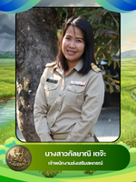 นางสาว กัลยาณี เตจ๊ะ