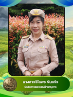 นางสาววิไลพร ขันแก้ว