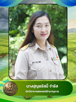 นางปุญชรัสมิ์ จำรัส