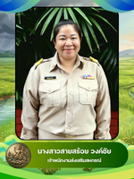 นางสาวสายสร้อย วงค์ชัย