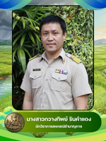 นายพิพัฒน์ วงค์ริน