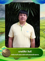 นายนิธิป วันดี