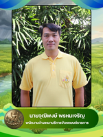 นายวุฒิพงษ์ พรหมเจริญ