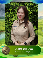 นางสาวพัชรี มาลา