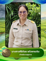 นางสาวศิริก้อย แก้วแกมเงิน