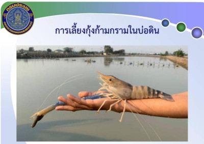 โครงการฝึกอบรมหลักสูตรเสริมทักษะอาชีพเกษตรกรเฉพาะด้าน พารามิเตอร์รูปภาพ 1