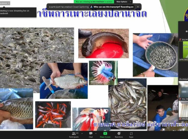 โครงการฝึกอบรมหลักสูตรเสริมทักษะอาชีพเกษตรกรเฉพาะด้าน พารามิเตอร์รูปภาพ 2