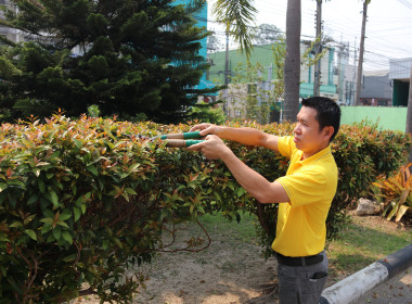 การจัดกิจกรรม Big Cleaning Day ... พารามิเตอร์รูปภาพ 6