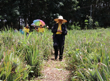 เข้าติดตามผลการใช้เงินกู้ กองทุนพัฒนาสหกรณ์ ... พารามิเตอร์รูปภาพ 14