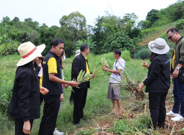 เข้าติดตามผลการใช้เงินกู้ กองทุนพัฒนาสหกรณ์ ... พารามิเตอร์รูปภาพ 27