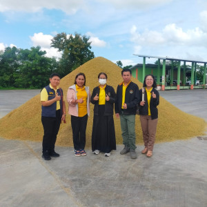 เข้าตรวจเยี่ยมการรวบรวมข้าวเปลือกของสหกรณ์การเกษตรป่าแดด ... พารามิเตอร์รูปภาพ 1