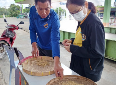 เข้าตรวจเยี่ยมการรวบรวมข้าวเปลือกของสหกรณ์การเกษตรป่าแดด ... พารามิเตอร์รูปภาพ 12