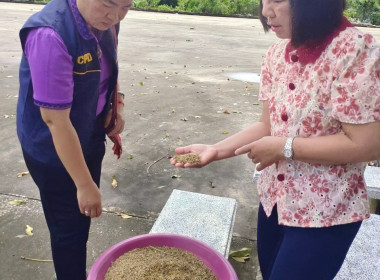 ติดตามการดำเนินธุรกิจรวบรวมข้าวเปลือกของสหกรณ์ ปีการผลิต ... พารามิเตอร์รูปภาพ 7