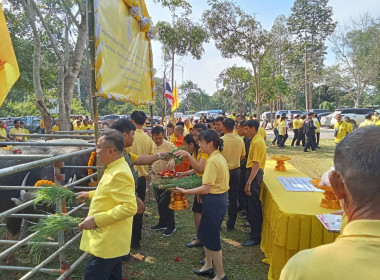 เข้าร่วมพิธีเปิดโครงการมอบกรรมสิทธิ์และไถ่ชีวิตโค-กระบือ ... พารามิเตอร์รูปภาพ 5