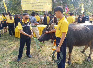 เข้าร่วมพิธีเปิดโครงการมอบกรรมสิทธิ์และไถ่ชีวิตโค-กระบือ ... พารามิเตอร์รูปภาพ 8
