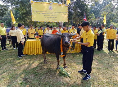 เข้าร่วมพิธีเปิดโครงการมอบกรรมสิทธิ์และไถ่ชีวิตโค-กระบือ ... พารามิเตอร์รูปภาพ 9