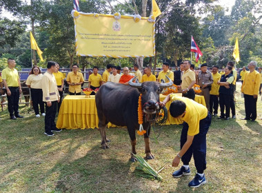 เข้าร่วมพิธีเปิดโครงการมอบกรรมสิทธิ์และไถ่ชีวิตโค-กระบือ ... พารามิเตอร์รูปภาพ 10
