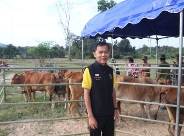 รัฐมนตรีช่วยว่าการกระทรวงเกษตรและสหกรณ์ ... พารามิเตอร์รูปภาพ 13