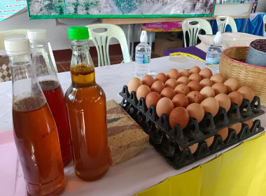 ส่งเสริมขับเคลื่อนการน้อมนำหลักปรัชญาเศรษฐกิจพอเพียงประยุกต์ใช้ใน กลุ่มเกษตรกรชาวสวนยางตำบลไม้ยา ... พารามิเตอร์รูปภาพ 18