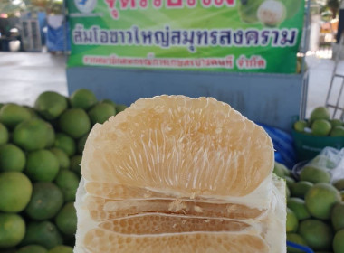 ช่วยกระจายผลผลิตทางการเกษตร ... พารามิเตอร์รูปภาพ 6