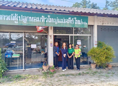 ติดตามผลการดำเนินงานสหกรณ์สหกรณ์ผู้ปลูกหอมหัวใหญ่แม่เจดีย์ใหม่ จำกัด ... พารามิเตอร์รูปภาพ 2