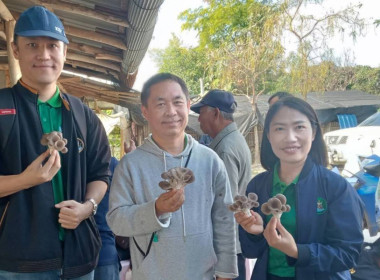 ส่งเสริมอาชีพสมาชิกสหกรณ์การเกษตรปฏิรูปที่ดินเวียงเชียงรุ้ง ... พารามิเตอร์รูปภาพ 3