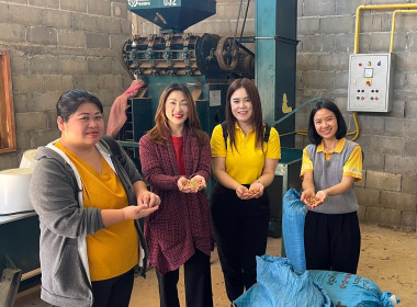ติดตามผลการดำเนินงานสหกรณ์การเกษตรพัฒนาพื้นที่สูงแบบโครงการหลวงวาวี จำกัด ... พารามิเตอร์รูปภาพ 3