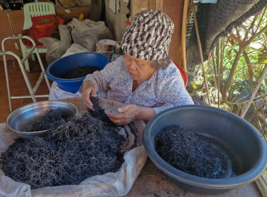 เข้าสัมภาษณ์ประธานวิสาหกิจชุมชนกลุ่มชาอินทรีย์ห้วยน้ำกืนเพื่อรวบรวมข้อมูลจัดทำรางวัลเลิศรัฐ 2568 ... พารามิเตอร์รูปภาพ 2