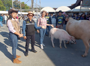 ร่วมพิธีเปิดงาน “มหกรรมประกวดควายงามเมืองเจียงฮาย ครั้งที่ ... พารามิเตอร์รูปภาพ 8