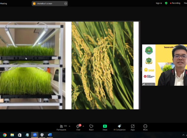 ร่วมประชุมเชิงปฏิบัติการ ผ่านระบบ Zoom Meeting ... พารามิเตอร์รูปภาพ 7