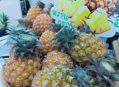 ร่วมงานพาณิชย์สัญจรในภูมิภาค ครั้งที่ 1/2568 ภาคเหนือ ... พารามิเตอร์รูปภาพ 8