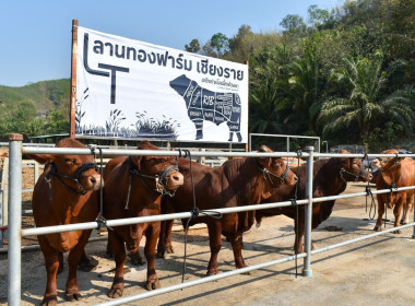 ติดตามรัฐมนตรีช่วยว่าการกระทรวงเกษตรและสหกรณ์ลงพื้นที่ตรวจราชการจังหวัดเชียงราย ... พารามิเตอร์รูปภาพ 17