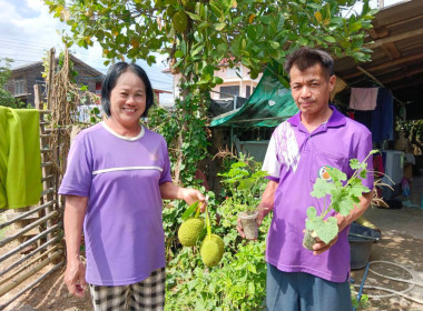 ติดตาม กิจกรรมส่งเสริมเศรษฐกิจพอเพียง ... พารามิเตอร์รูปภาพ 1