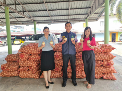 กระจายผลผลิตหอมหัวใหญ่ อำเภอเวียงป่าเป้า จังหวัดเชียงราย ... พารามิเตอร์รูปภาพ 1