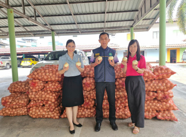 กระจายผลผลิตหอมหัวใหญ่ อำเภอเวียงป่าเป้า จังหวัดเชียงราย ... พารามิเตอร์รูปภาพ 3
