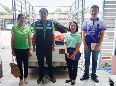 กระจายผลผลิตหอมหัวใหญ่ อำเภอเวียงป่าเป้า จังหวัดเชียงราย ... พารามิเตอร์รูปภาพ 6