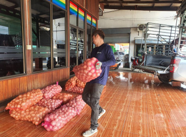 กระจายผลผลิตหอมหัวใหญ่ อำเภอเวียงป่าเป้า จังหวัดเชียงราย ... พารามิเตอร์รูปภาพ 54