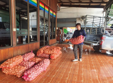 กระจายผลผลิตหอมหัวใหญ่ อำเภอเวียงป่าเป้า จังหวัดเชียงราย ... พารามิเตอร์รูปภาพ 55
