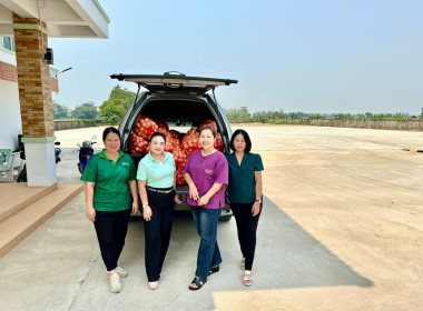 กระจายผลผลิตหอมหัวใหญ่ อำเภอเวียงป่าเป้า จังหวัดเชียงราย ... พารามิเตอร์รูปภาพ 36