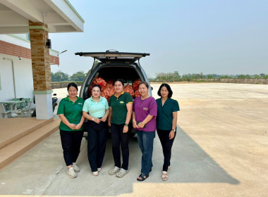 กระจายผลผลิตหอมหัวใหญ่ อำเภอเวียงป่าเป้า จังหวัดเชียงราย ... พารามิเตอร์รูปภาพ 37