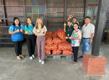กระจายผลผลิตหอมหัวใหญ่ อำเภอเวียงป่าเป้า จังหวัดเชียงราย ... พารามิเตอร์รูปภาพ 40