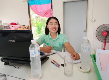 ทบทวนแผนกลยุทธ์และจัดทำแผนปรับปรุงการดำเนินงาน ... พารามิเตอร์รูปภาพ 11