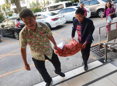 กระจายผลผลิตหอมหัวใหญ่ อำเภอเวียงป่าเป้า จังหวัดเชียงราย ... พารามิเตอร์รูปภาพ 2