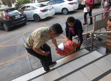 กระจายผลผลิตหอมหัวใหญ่ อำเภอเวียงป่าเป้า จังหวัดเชียงราย ... พารามิเตอร์รูปภาพ 3