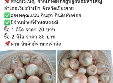 กระจายผลผลิตหอมหัวใหญ่ อำเภอเวียงป่าเป้า จังหวัดเชียงราย ... พารามิเตอร์รูปภาพ 8